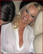 pamela-anderson_15.jpg - 86 KB