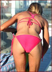 Denise Richards Nude Pictures