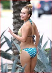 Hayden Panettiere Nude Pictures