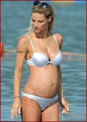 Michelle Hunziker Nude Pictures