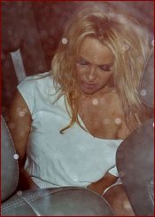 Pamela Anderson Nude Pictures