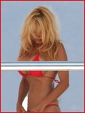 pamela-anderson_04.jpg - 110 KB