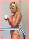 pamela-anderson_09.jpg - 116 KB