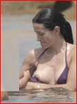 courteney-cox_06.jpg - 80 KB