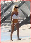 pamela-anderson_12.jpg - 78 KB