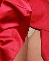 elizabeth-hurley_11.jpg - 55 KB