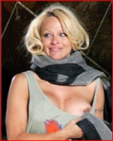 pamela-anderson_10.jpg - 105 KB