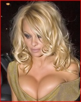 pamela-anderson_01.jpg - 71 KB