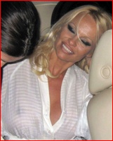 pamela-anderson_16.jpg - 86 KB