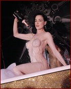 Dita Von Teese Nude Pictures