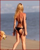 Nicollette Sheridan Nude Pictures