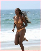 Venus Williams Nude Pictures