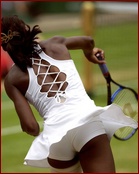 Venus Williams Nude Pictures