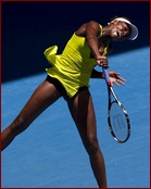 Venus Williams Nude Pictures