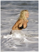 Pamela Anderson Nude Pictures