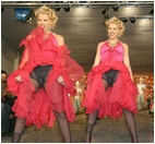 anna-nicole-smith_28014.jpg - 148 KB