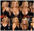 pamela-anderson_28013.jpg - 138 KB