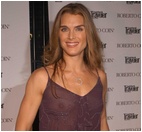 brooke-shields_28013.jpg - 85 KB