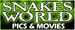 Snakesworld