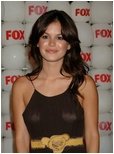 Rachel Bilson Nude Pictures