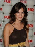 Rachel Bilson Nude Pictures