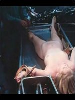 Barbara Crampton Nude Pictures