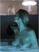 Natasha Henstridge Nude Pictures